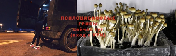 mix Аркадак